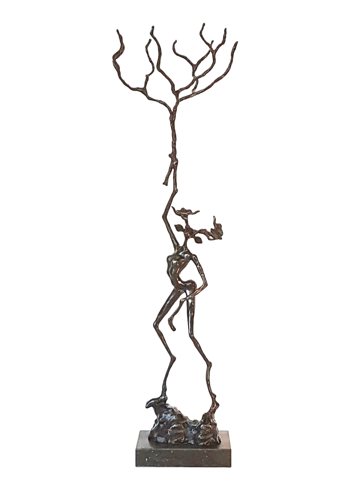 L'Arbre Vainqueur