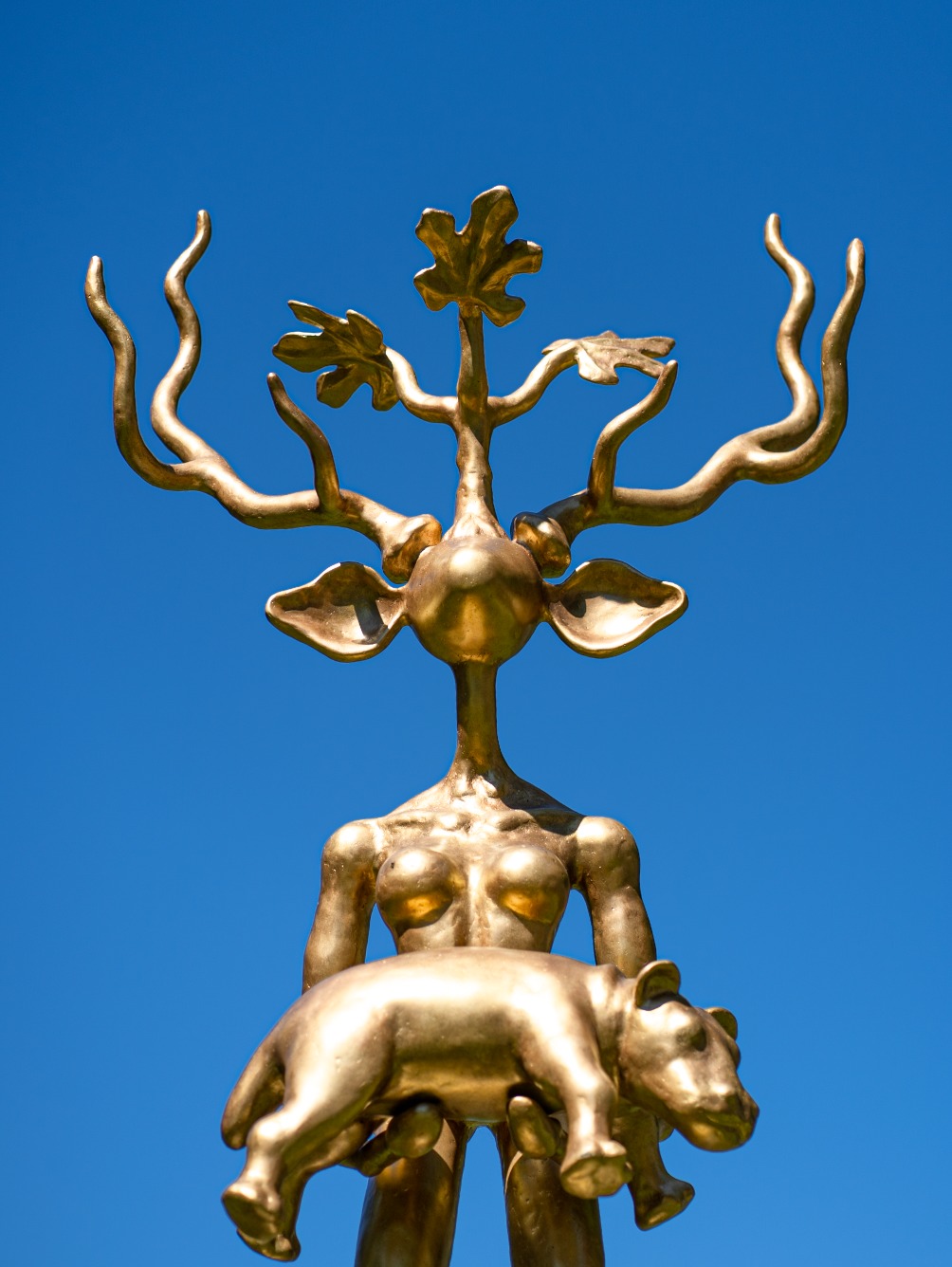 Homepage image